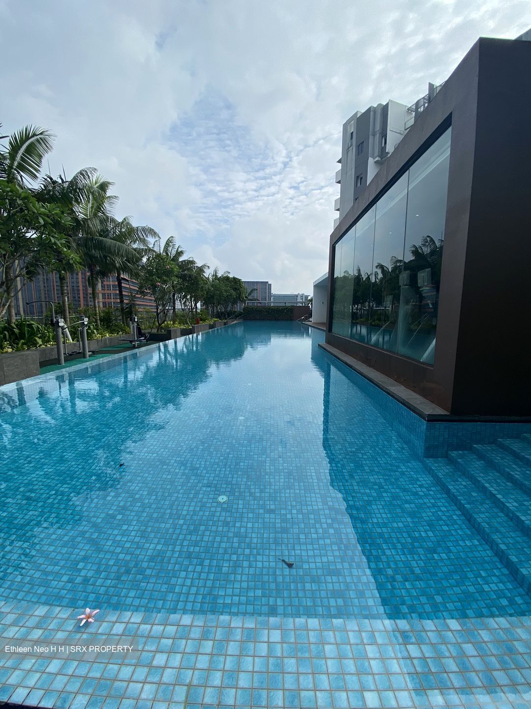 Katong Regency (D15), Apartment #436795641